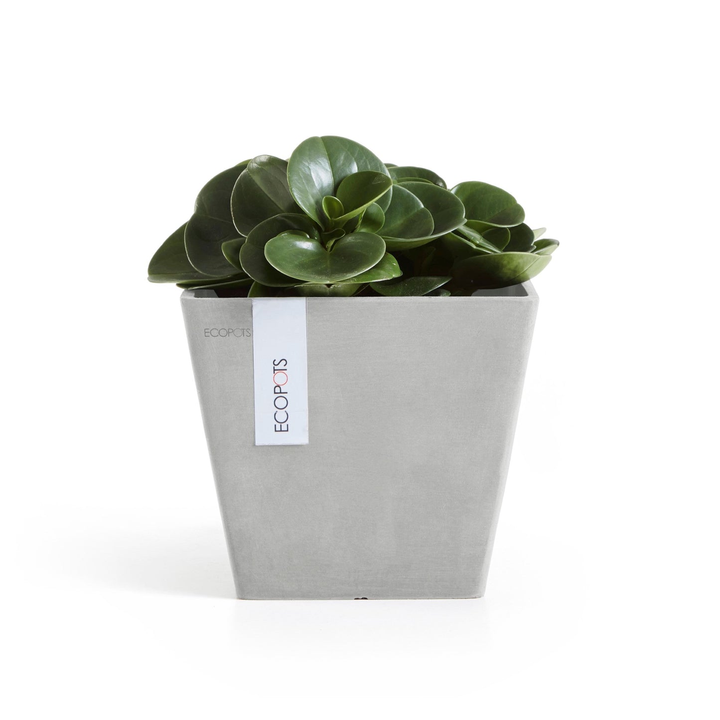 Kukkaruukku - Ecopots - Rotterdam 20cm valkoharmaa - Ecopotskauppa - Uuden aikakauden kukkaruukku