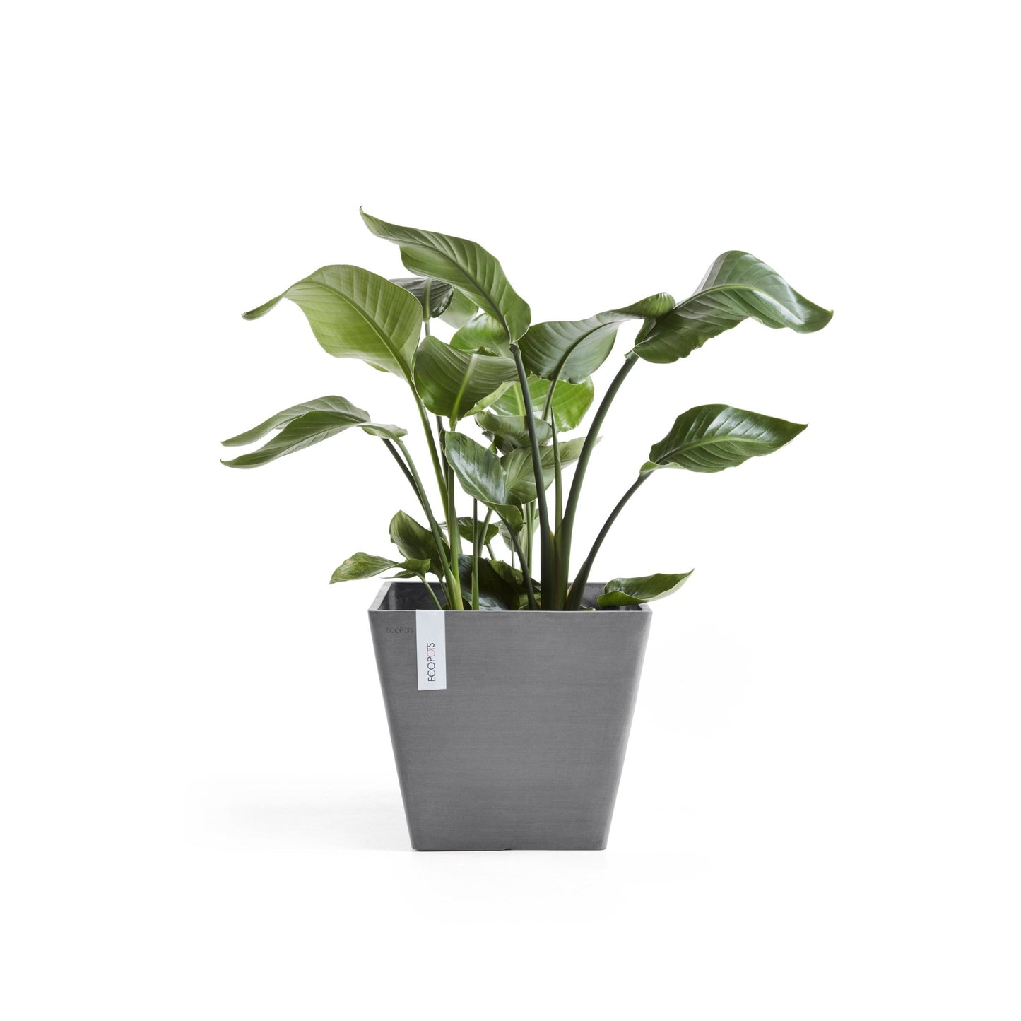 Kukkaruukku - Ecopots - Rotterdam 30cm harmaa - Ecopotskauppa - Uuden aikakauden kukkaruukku