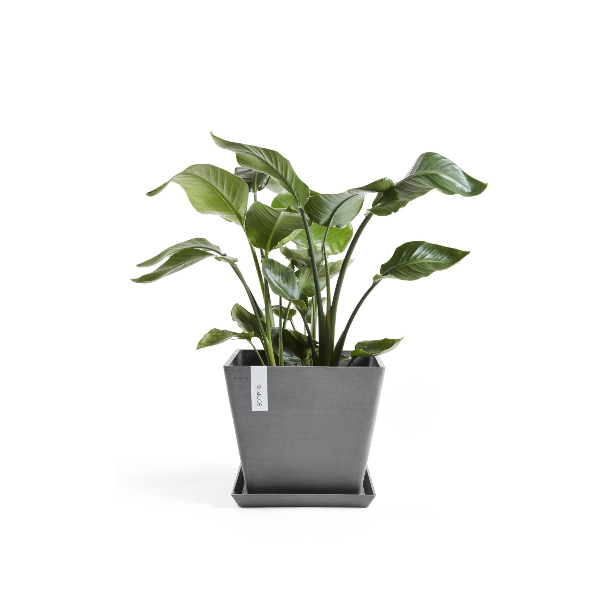 Kukkaruukku - Ecopots - Rotterdam 30cm harmaa - Ecopotskauppa - Uuden aikakauden kukkaruukku