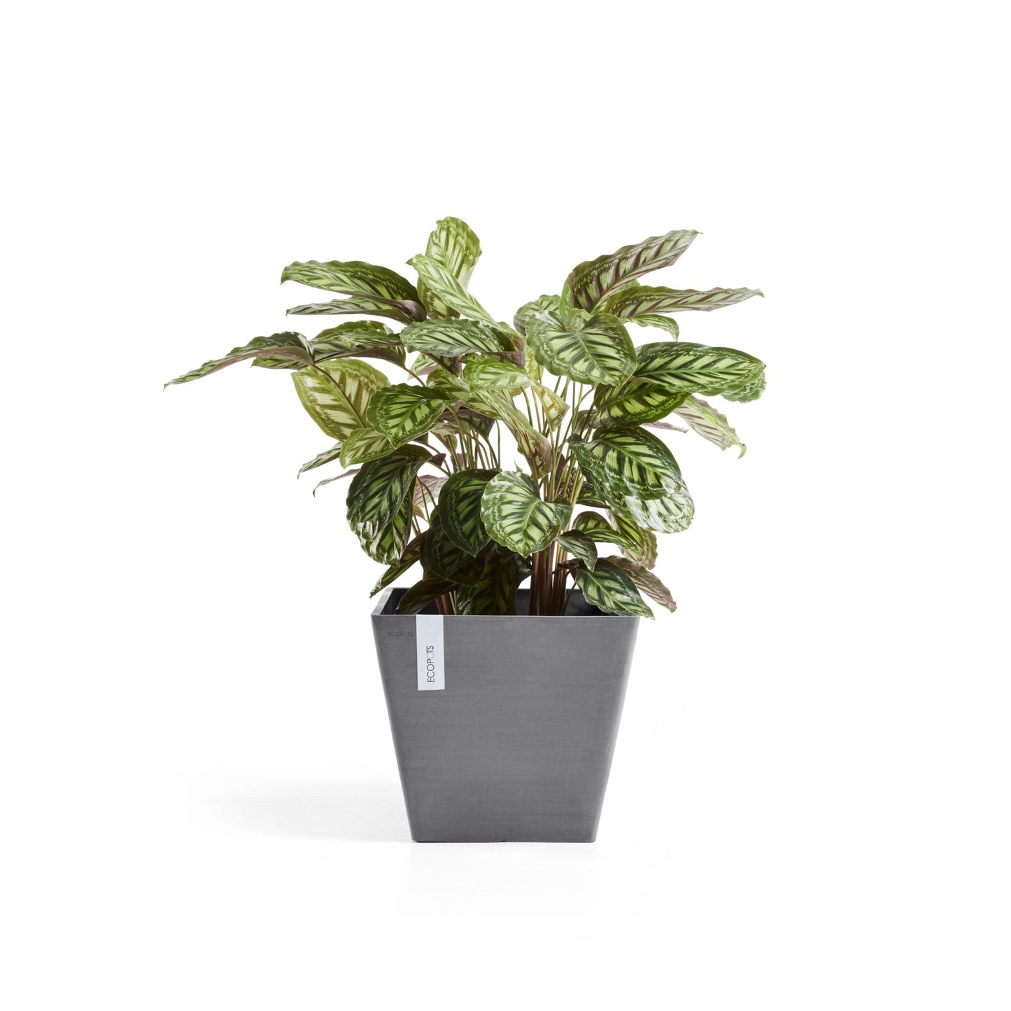 Kukkaruukku - Ecopots - Rotterdam 30cm harmaa - Ecopotskauppa - Uuden aikakauden kukkaruukku