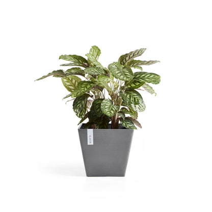 Kukkaruukku - Ecopots - Rotterdam 30cm harmaa - Ecopotskauppa - Uuden aikakauden kukkaruukku