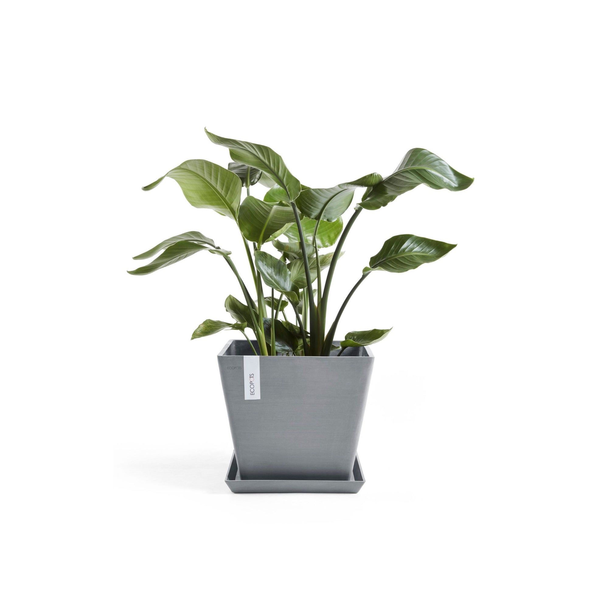 Kukkaruukku - Ecopots - Rotterdam 30cm siniharmaa - Ecopotskauppa - Uuden aikakauden kukkaruukku