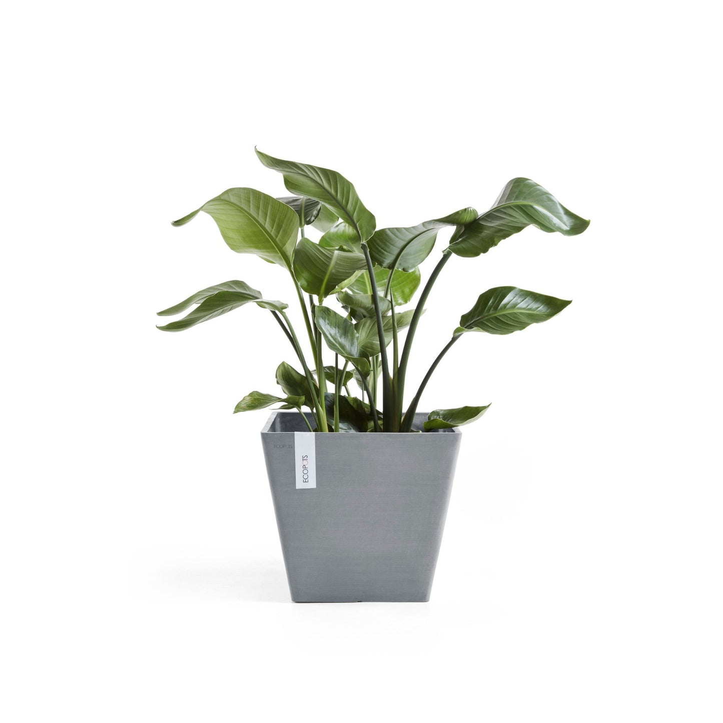 Kukkaruukku - Ecopots - Rotterdam 30cm siniharmaa - Ecopotskauppa - Uuden aikakauden kukkaruukku