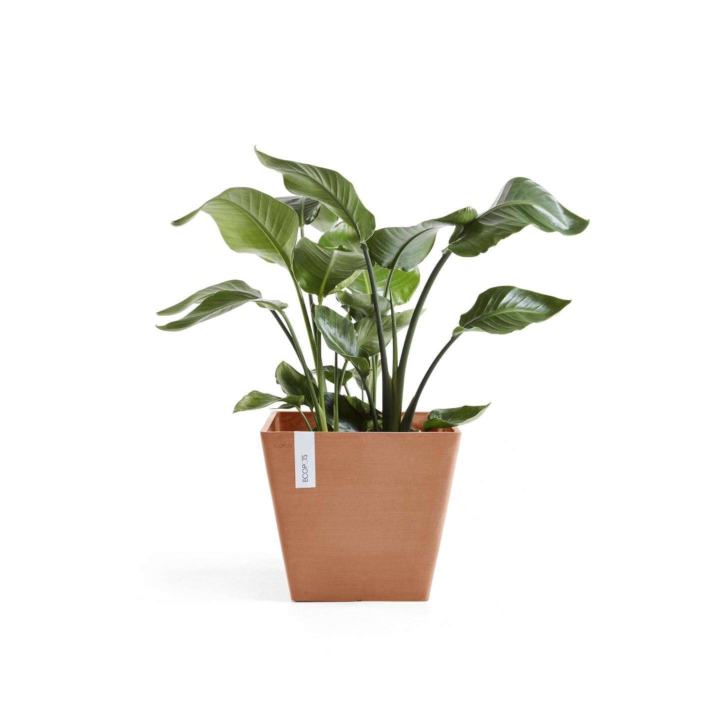 Kukkaruukku - Ecopots - Rotterdam 30cm terracotta - Ecopotskauppa - Uuden aikakauden kukkaruukku