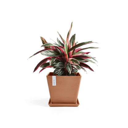 Kukkaruukku Rotterdam 30cm terracotta – aluslautasen ja kasvin kanssa 2