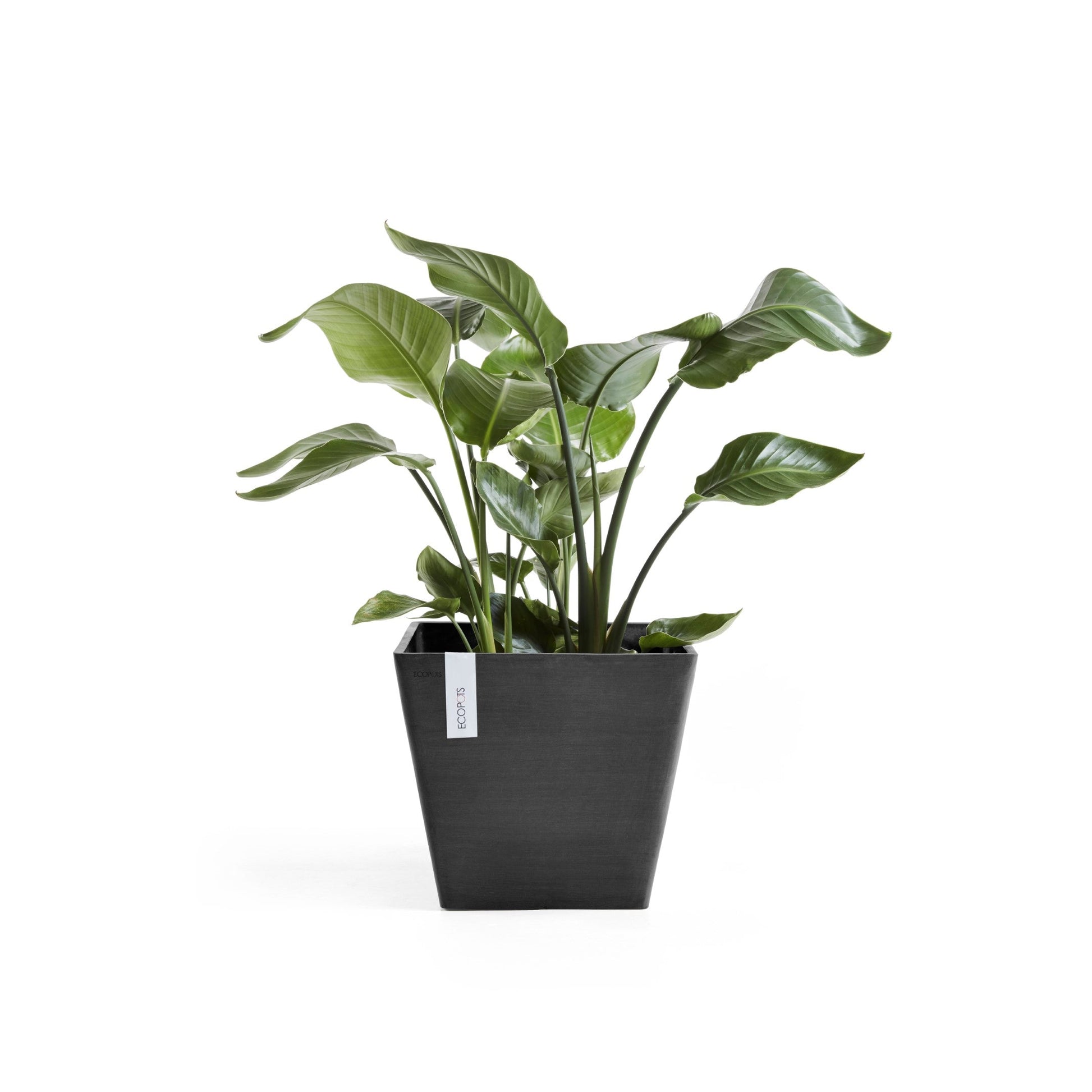 Kukkaruukku - Ecopots - Rotterdam 30cm tummanharmaa - Ecopotskauppa - Uuden aikakauden kukkaruukku