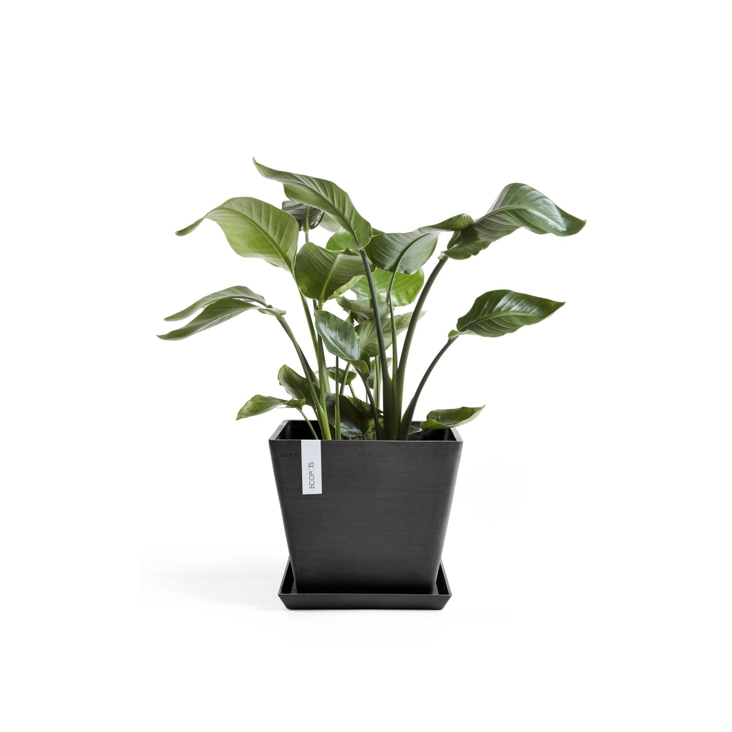 Kukkaruukku - Ecopots - Rotterdam 30cm tummanharmaa - Ecopotskauppa - Uuden aikakauden kukkaruukku