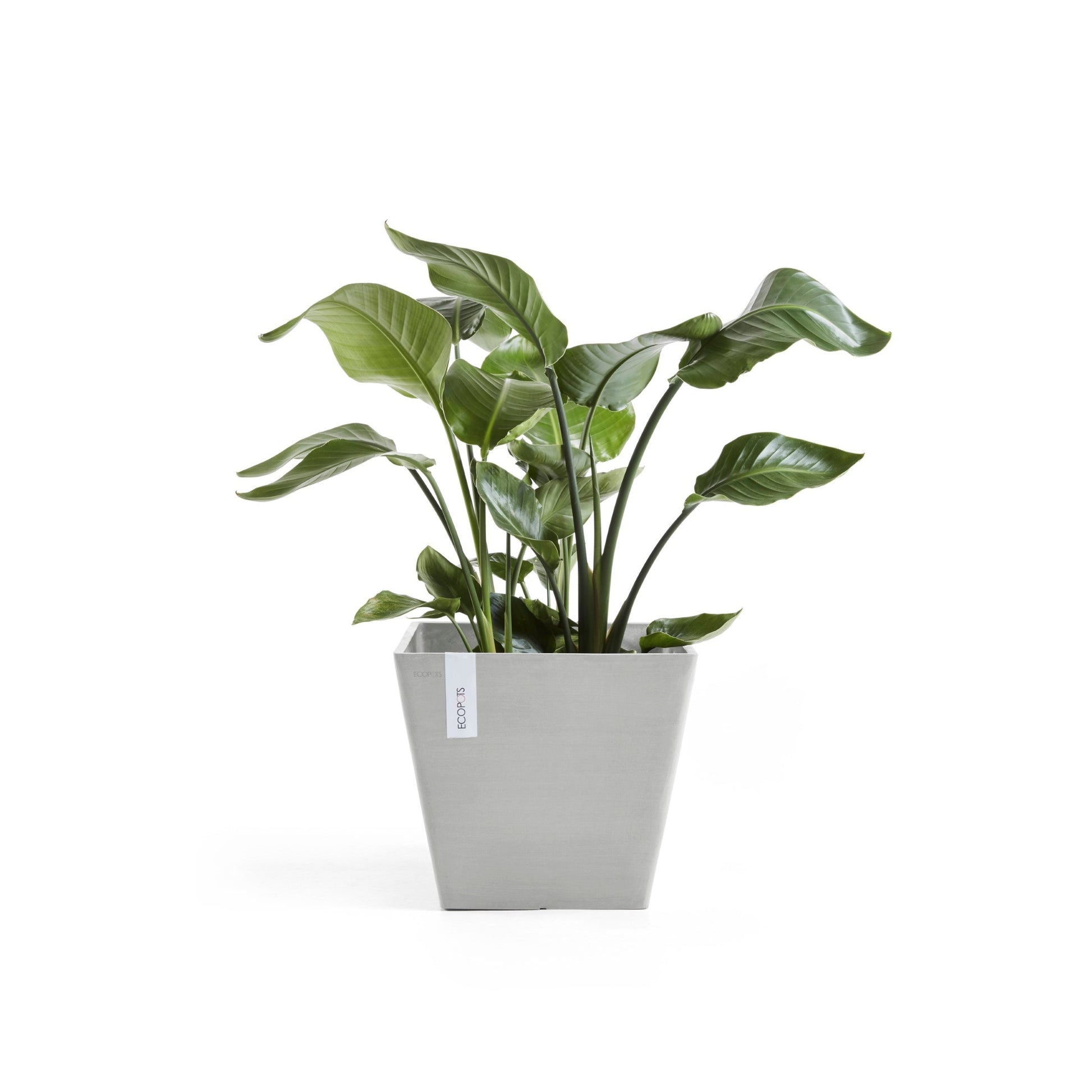 Kukkaruukku - Ecopots - Rotterdam 30cm valkoharmaa - Ecopotskauppa - Uuden aikakauden kukkaruukku