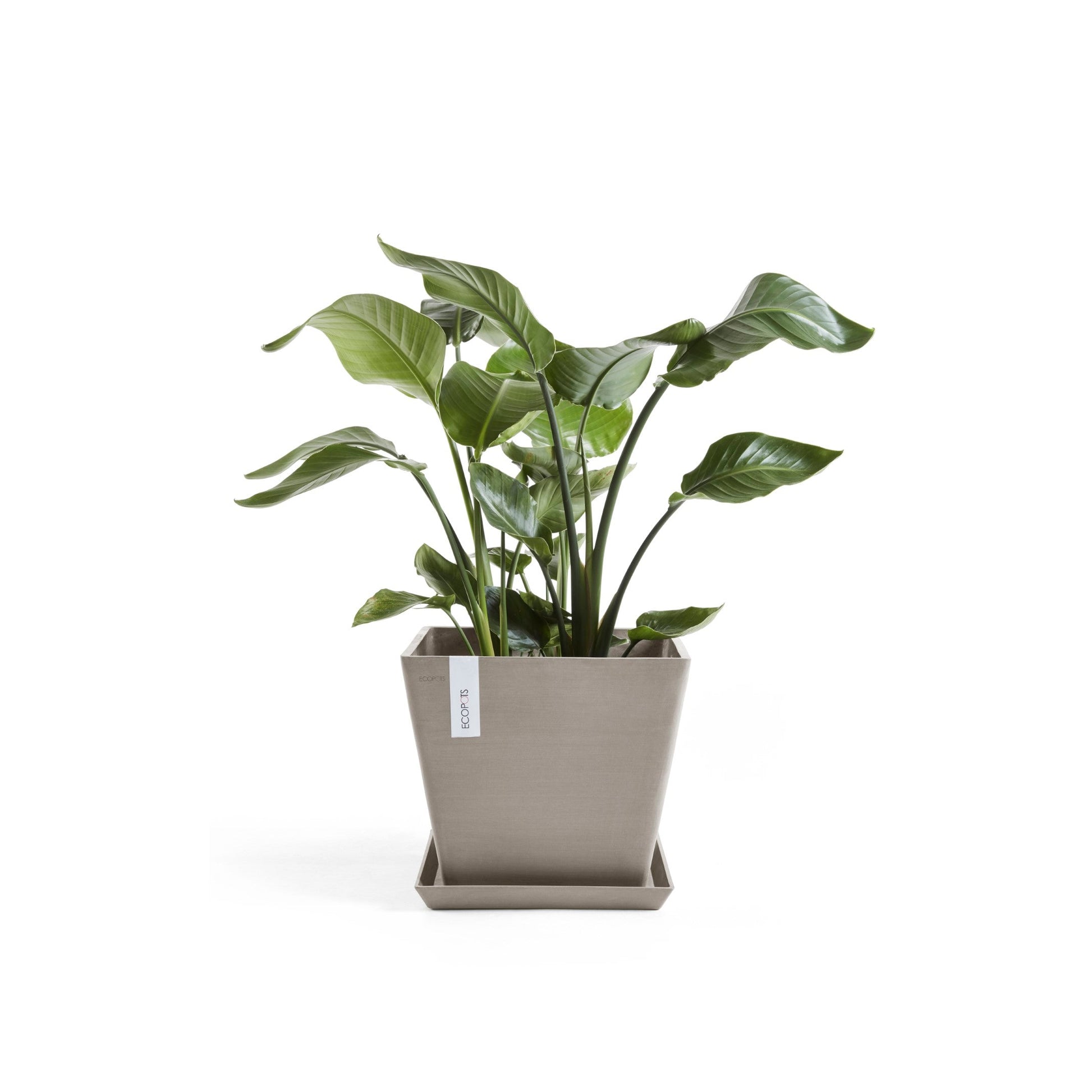 Kukkaruukku - Ecopots - Rotterdam 40cm taupe - Ecopotskauppa - Uuden aikakauden kukkaruukku