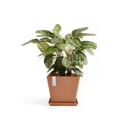 Kukkaruukku - Ecopots - Rotterdam 50cm terracotta - Ecopotskauppa - Uuden aikakauden kukkaruukku