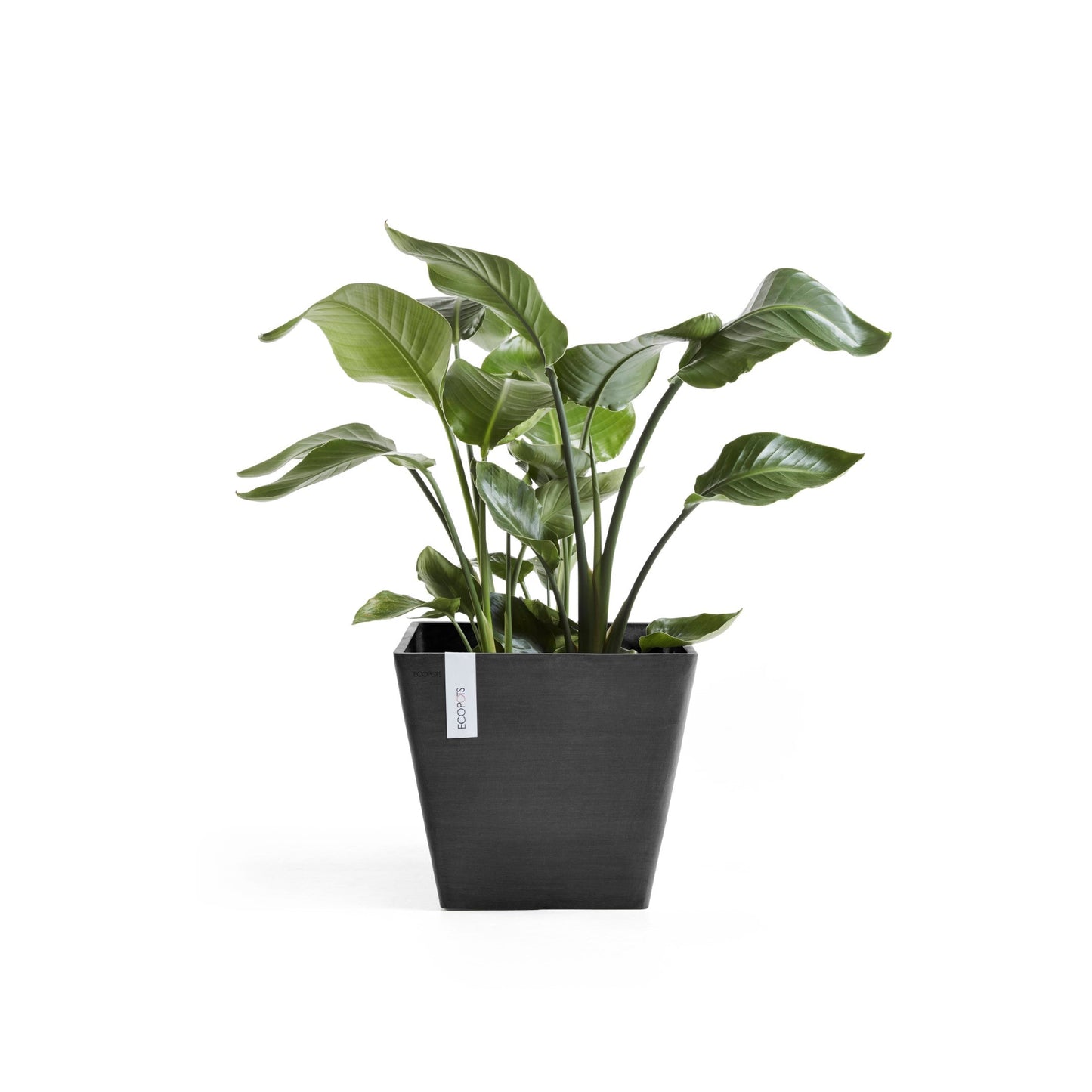 Kukkaruukku - Ecopots - Rotterdam 50cm tummanharmaa - Ecopotskauppa - Uuden aikakauden kukkaruukku