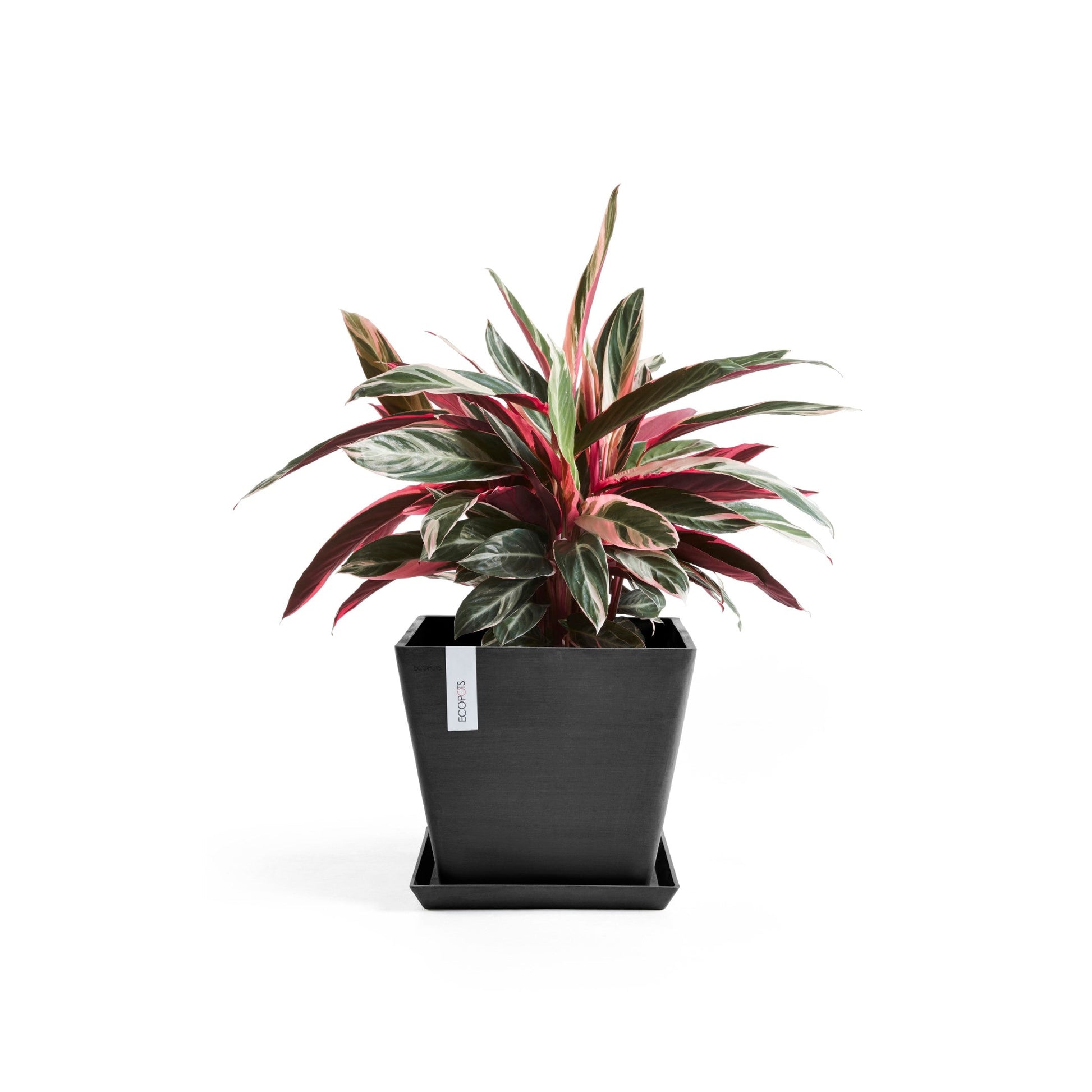 Kukkaruukku - Ecopots - Rotterdam 50cm tummanharmaa - Ecopotskauppa - Uuden aikakauden kukkaruukku