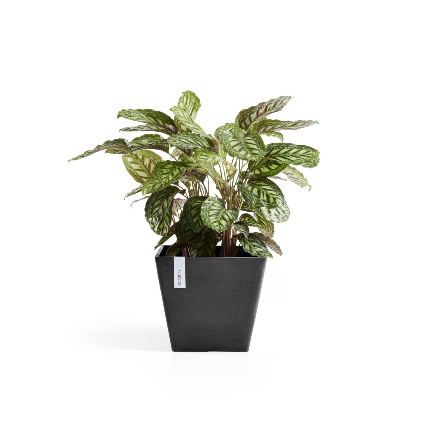 Kukkaruukku - Ecopots - Rotterdam 50cm tummanharmaa - Ecopotskauppa - Uuden aikakauden kukkaruukku