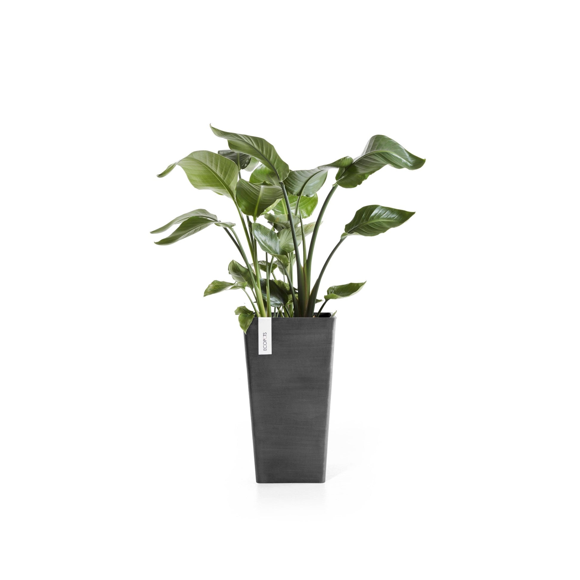 Kukkaruukku - Ecopots - Rotterdam keskikorkea 56cm tummanharmaa - Ecopotskauppa - Uuden aikakauden kukkaruukku