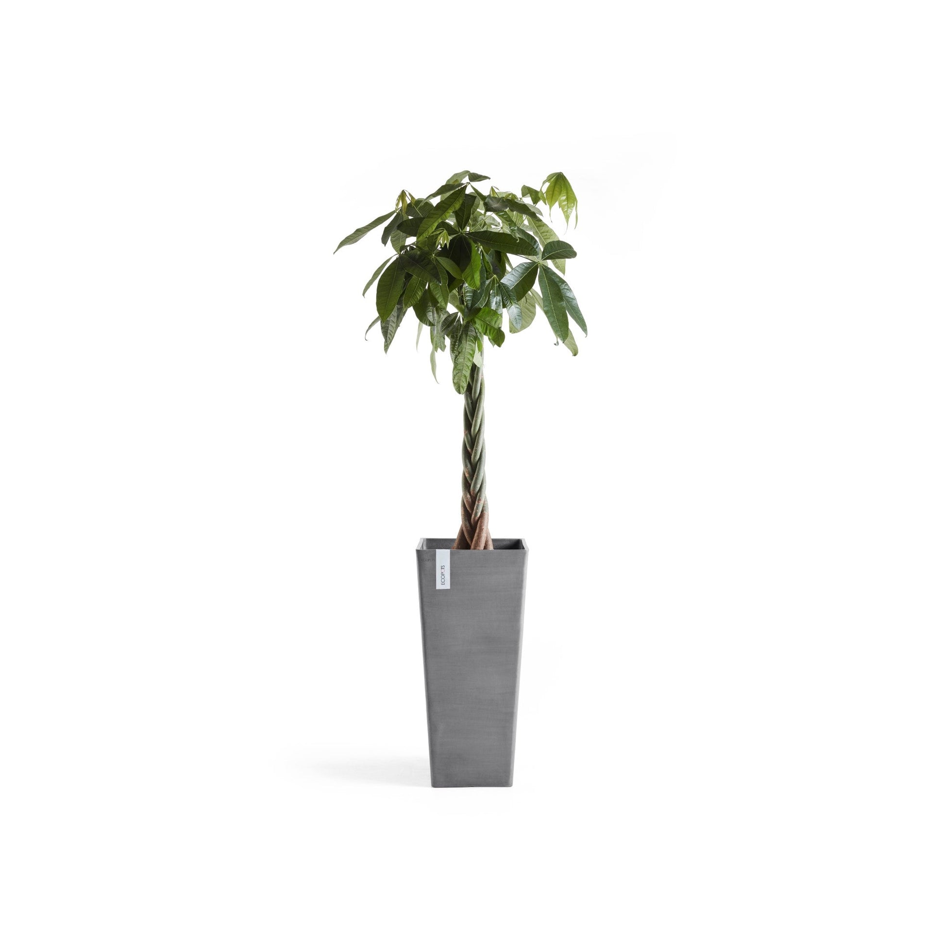 Kukkaruukku - Ecopots - Rotterdam korkea 70cm harmaa - Ecopotskauppa - Uuden aikakauden kukkaruukku