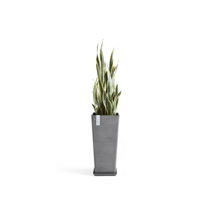 Kukkaruukku - Ecopots - Rotterdam korkea 70cm harmaa - Ecopotskauppa - Uuden aikakauden kukkaruukku