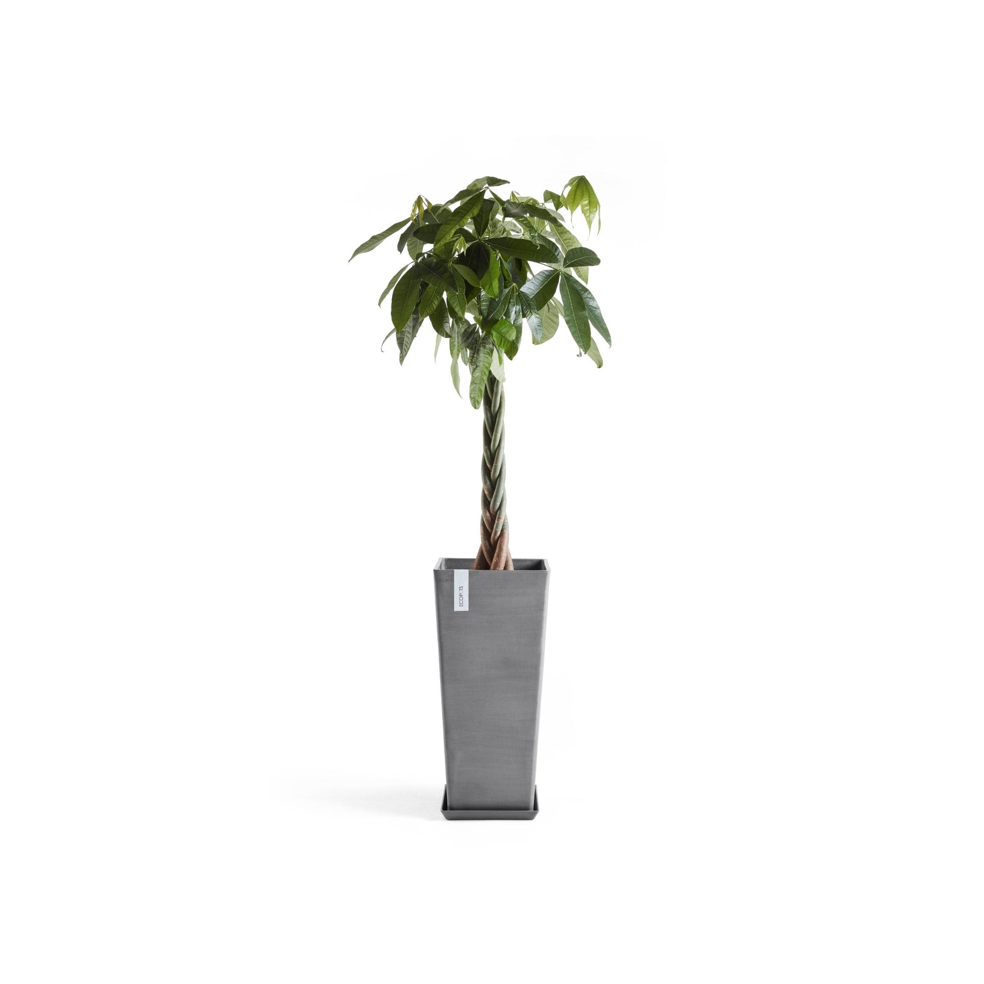 Kukkaruukku - Ecopots - Rotterdam korkea 70cm harmaa - Ecopotskauppa - Uuden aikakauden kukkaruukku