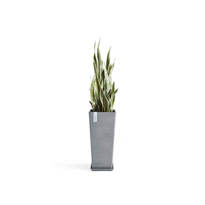 Kukkaruukku Rotterdam korkea 70cm siniharmaa