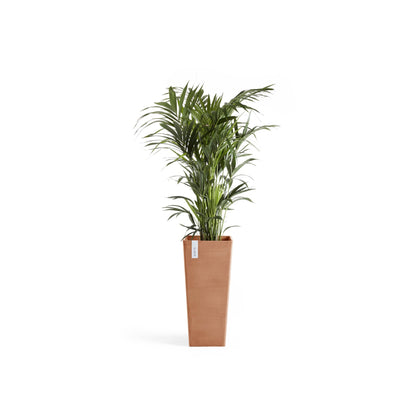 Kukkaruukku Rotterdam korkea 70cm terracotta – kasvin kanssa 2