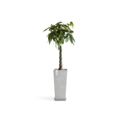 Kukkaruukku - Ecopots - Rotterdam korkea 70cm valkoharmaa - Ecopotskauppa - Uuden aikakauden kukkaruukku