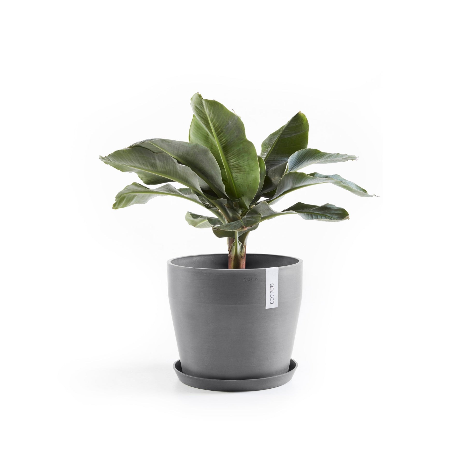 Kukkaruukku - Ecopots - Sankara 40cm harmaa - Ecopotskauppa - Uuden aikakauden kukkaruukku