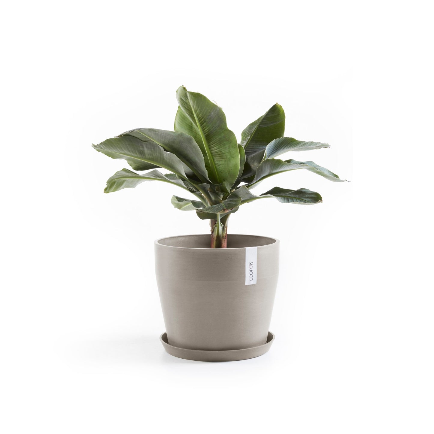 Kukkaruukku - Ecopots - Sankara 40cm taupe - Ecopotskauppa - Uuden aikakauden kukkaruukku