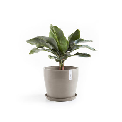 Kukkaruukku Sankara 40cm taupe – aluslautasen ja kasvin kanssa 2