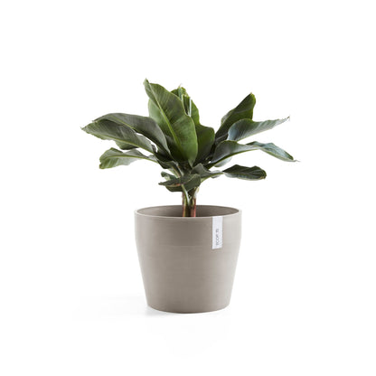 Kukkaruukku Sankara 40cm taupe – kasvin kanssa