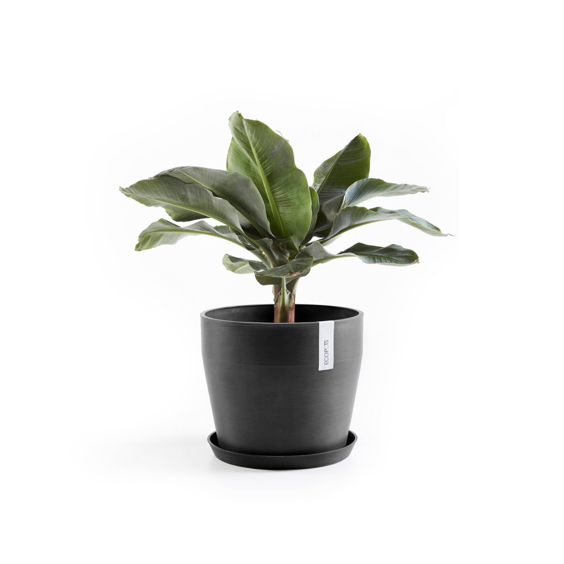 Kukkaruukku - Ecopots - Sankara 40cm tummanharmaa - Ecopotskauppa - Uuden aikakauden kukkaruukku