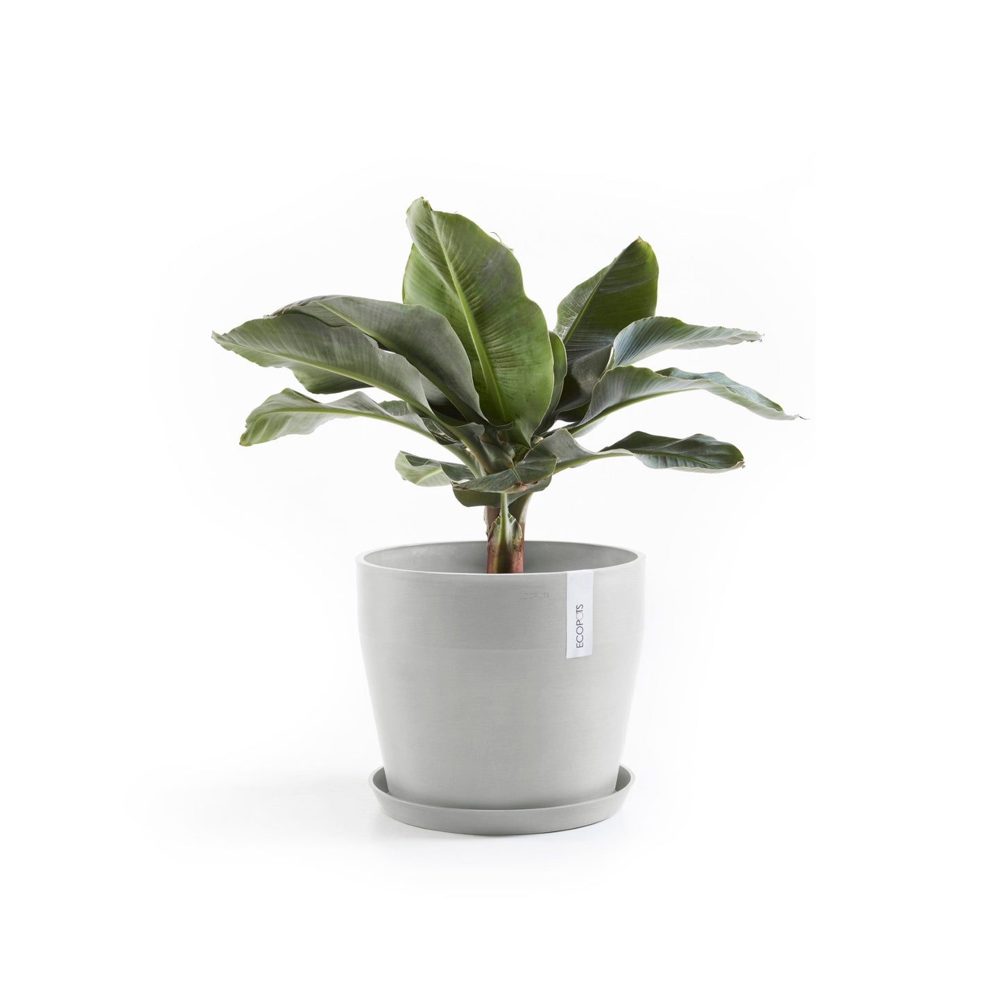 Kukkaruukku - Ecopots - Sankara 40cm valkoharmaa - Ecopotskauppa - Uuden aikakauden kukkaruukku