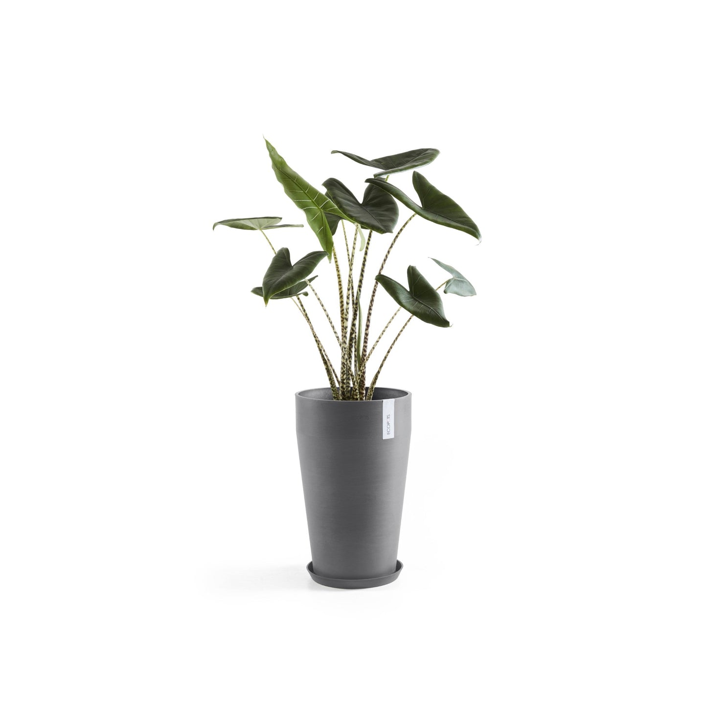 Kukkaruukku - Ecopots - Sankara keskikorkea 55cm harmaa - Ecopotskauppa - Uuden aikakauden kukkaruukku