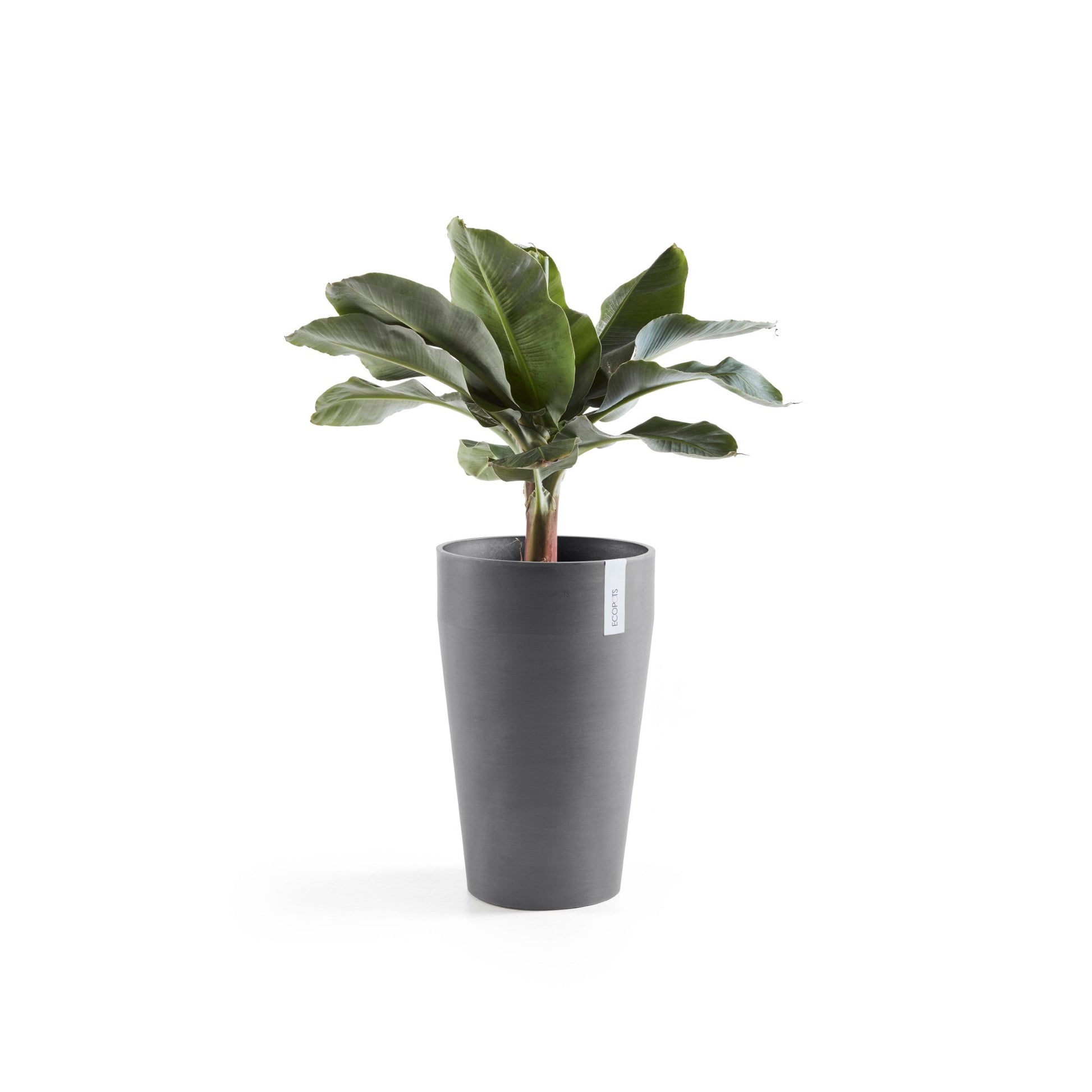 Kukkaruukku - Ecopots - Sankara keskikorkea 55cm harmaa - Ecopotskauppa - Uuden aikakauden kukkaruukku