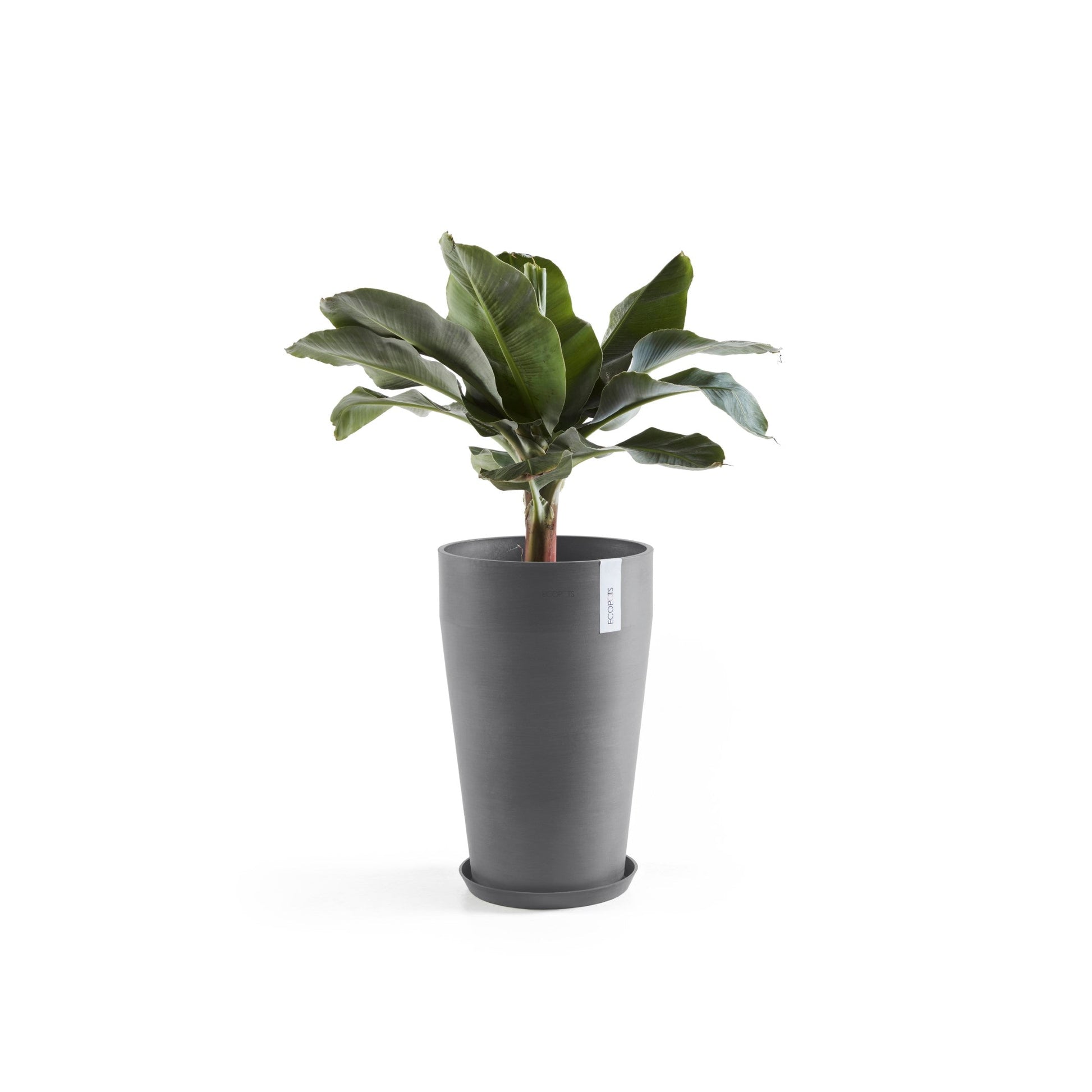 Kukkaruukku - Ecopots - Sankara keskikorkea 55cm harmaa - Ecopotskauppa - Uuden aikakauden kukkaruukku