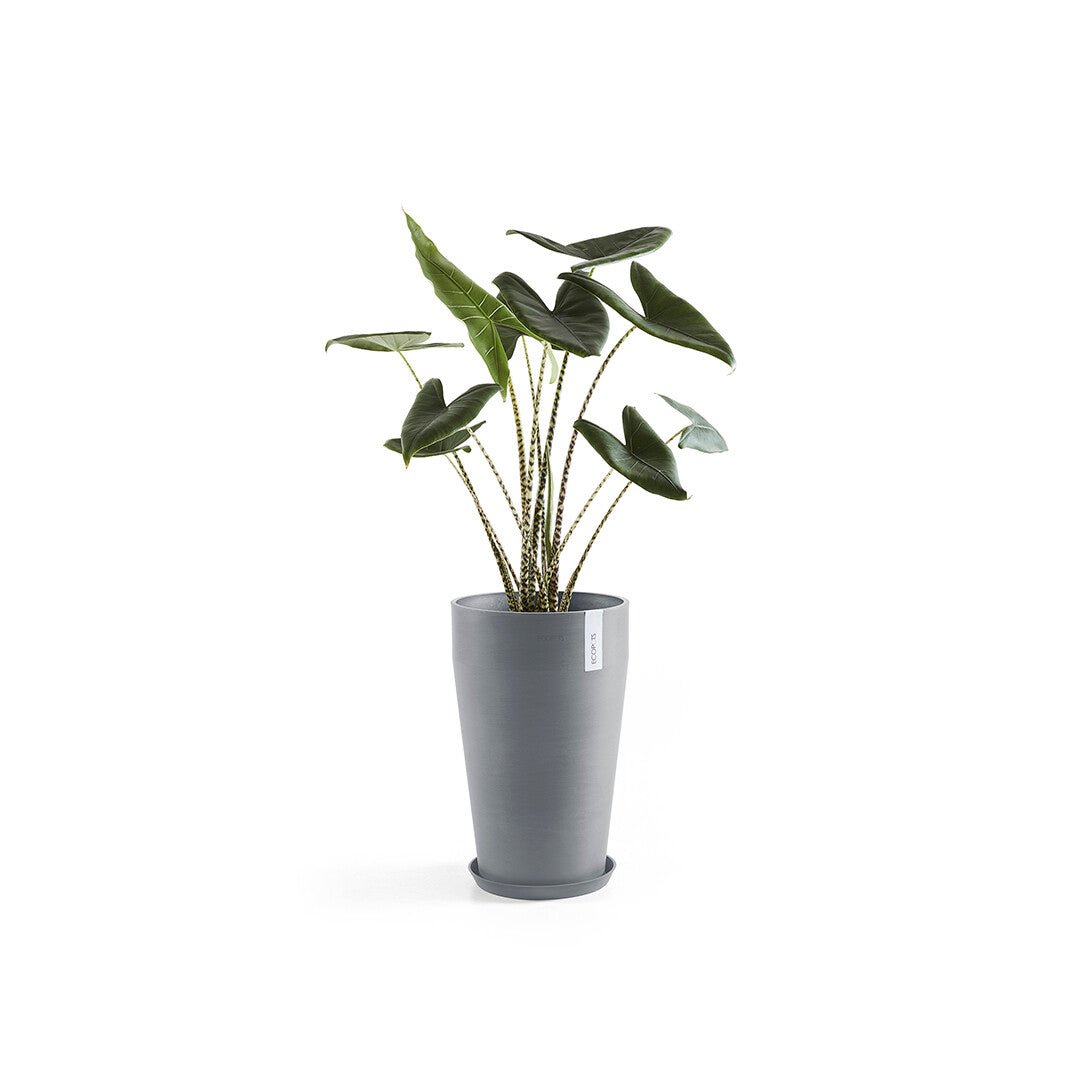 Kukkaruukku - Ecopots - Sankara keskikorkea 55cm siniharmaa - Ecopotskauppa - Uuden aikakauden kukkaruukku