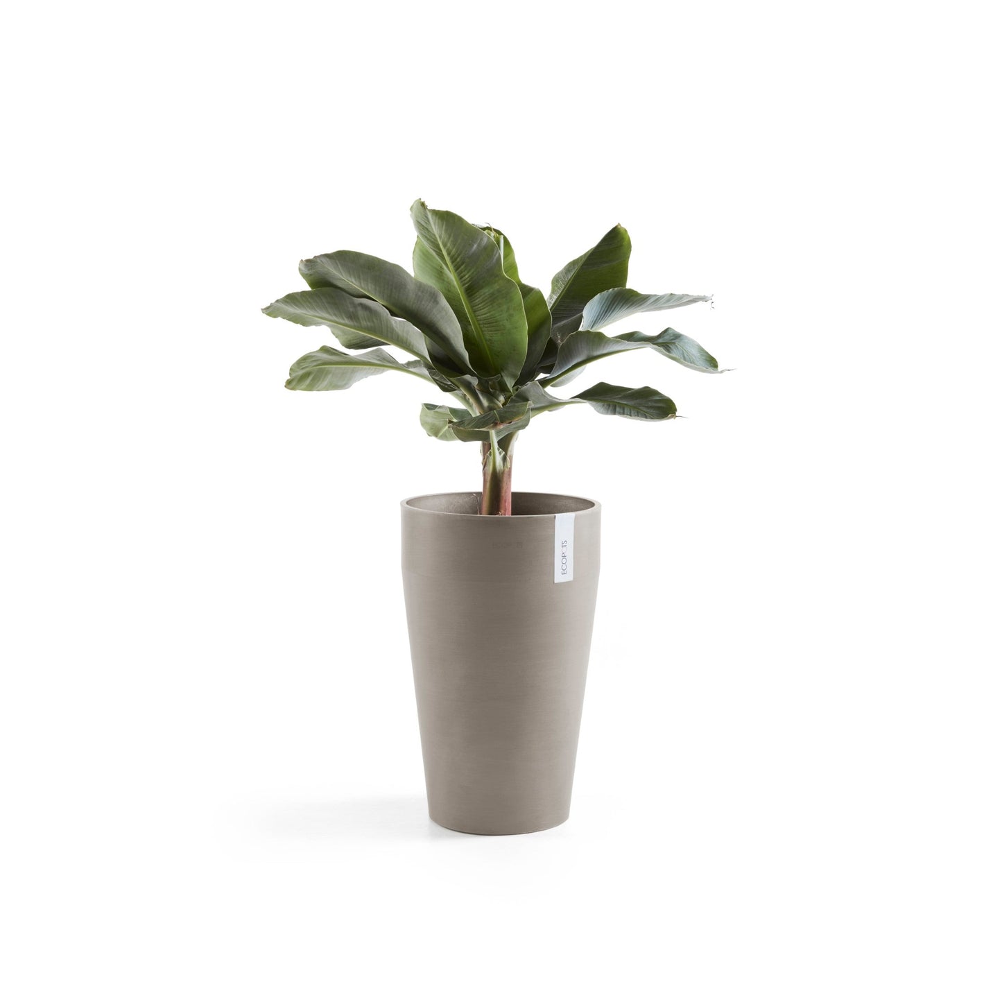 Kukkaruukku - Ecopots - Sankara keskikorkea 55cm taupe - Ecopotskauppa - Uuden aikakauden kukkaruukku