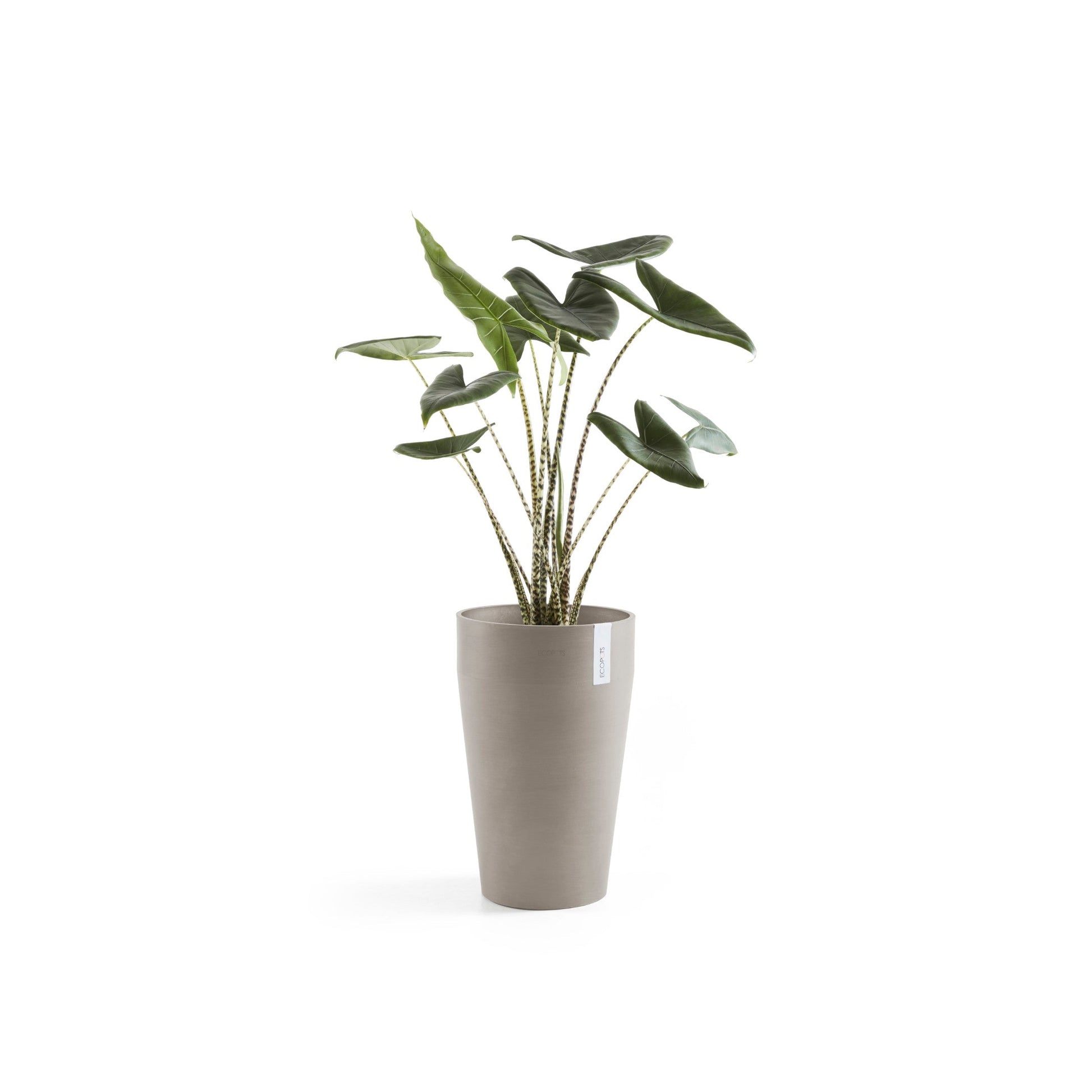 Kukkaruukku - Ecopots - Sankara keskikorkea 55cm taupe - Ecopotskauppa - Uuden aikakauden kukkaruukku