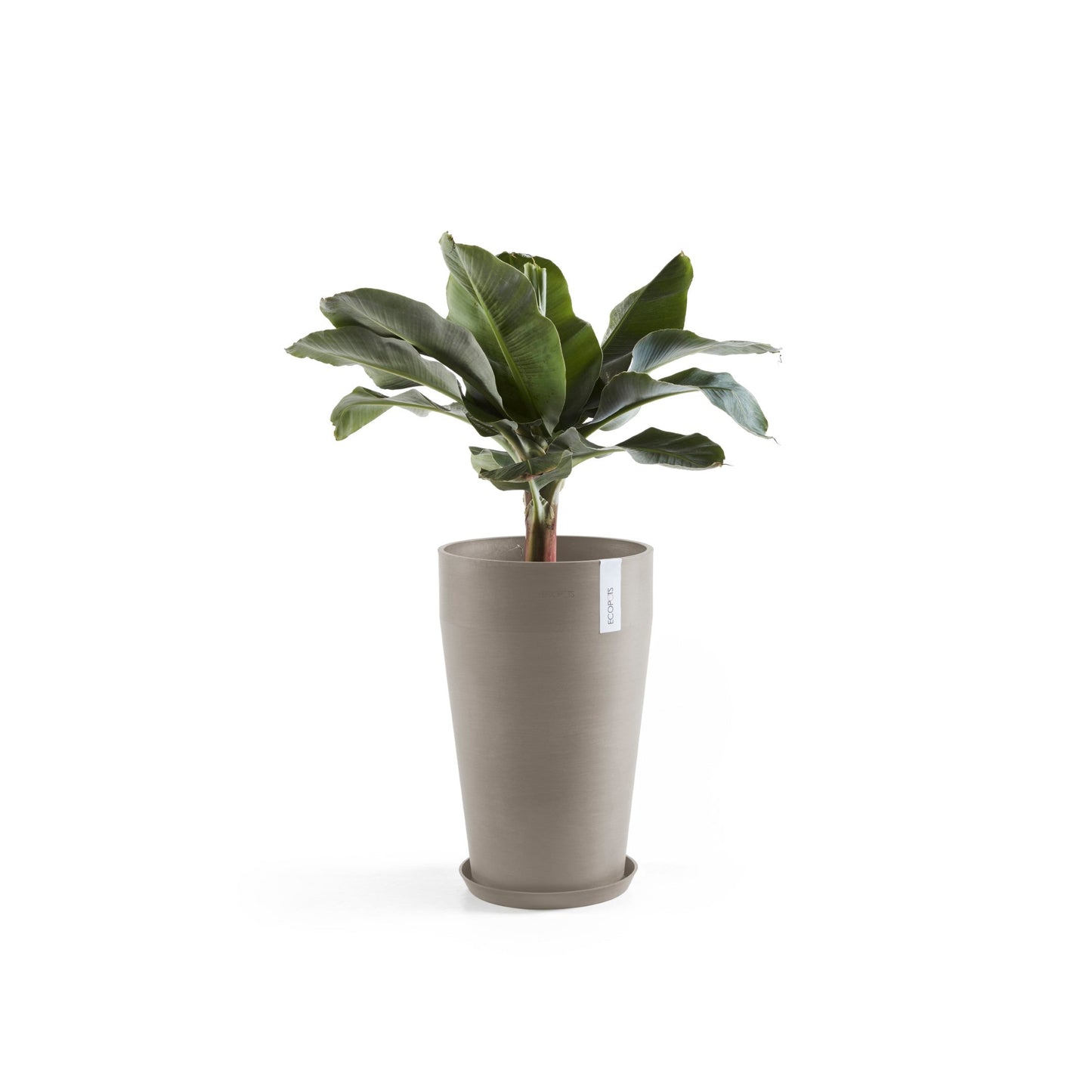 Kukkaruukku - Ecopots - Sankara keskikorkea 55cm taupe - Ecopotskauppa - Uuden aikakauden kukkaruukku