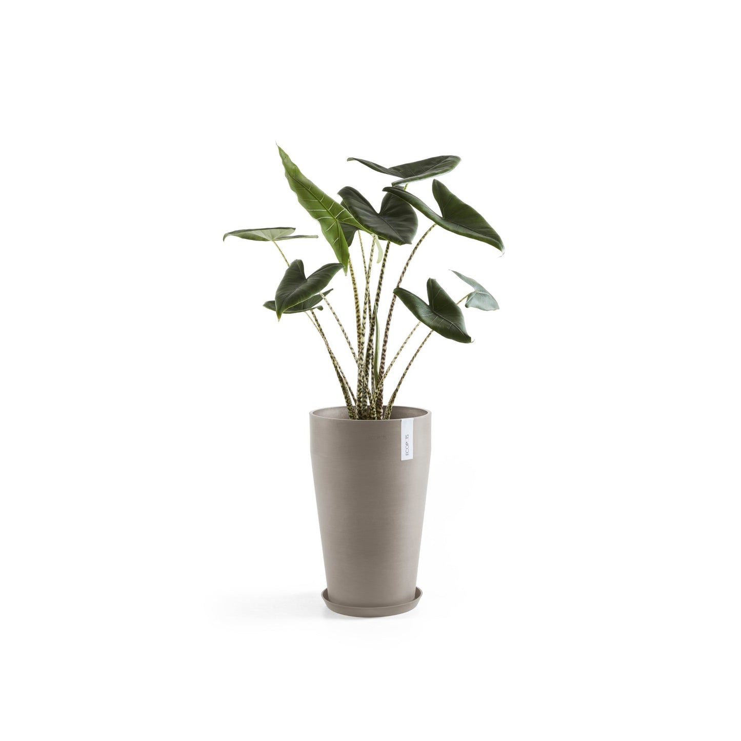 Kukkaruukku - Ecopots - Sankara keskikorkea 55cm taupe - Ecopotskauppa - Uuden aikakauden kukkaruukku