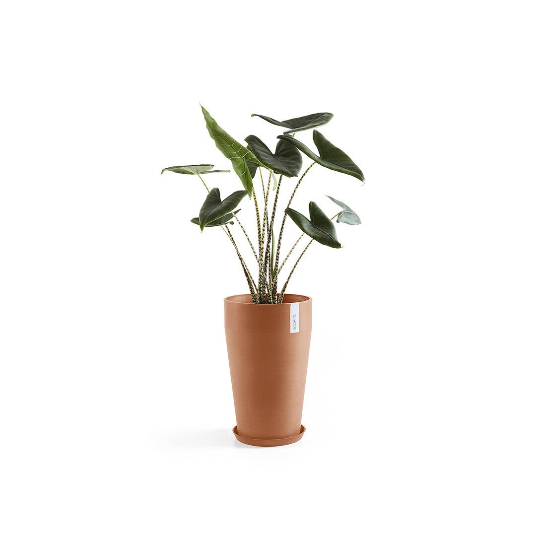 Kukkaruukku - Ecopots - Sankara keskikorkea 55cm terracotta - Ecopotskauppa - Uuden aikakauden kukkaruukku