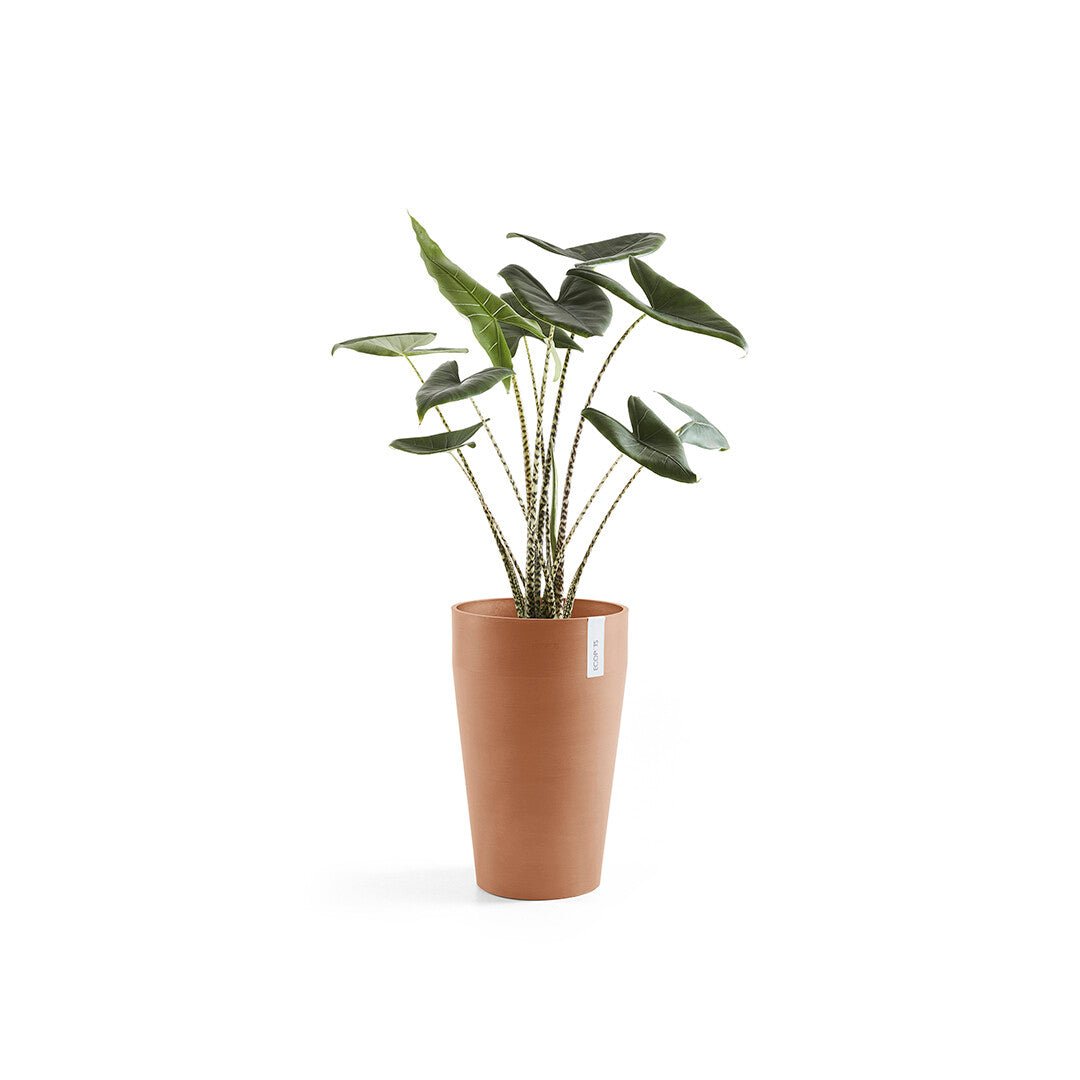 Kukkaruukku - Ecopots - Sankara keskikorkea 55cm terracotta - Ecopotskauppa - Uuden aikakauden kukkaruukku