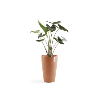 Kruka Sankara medelhög 55cm terrakotta