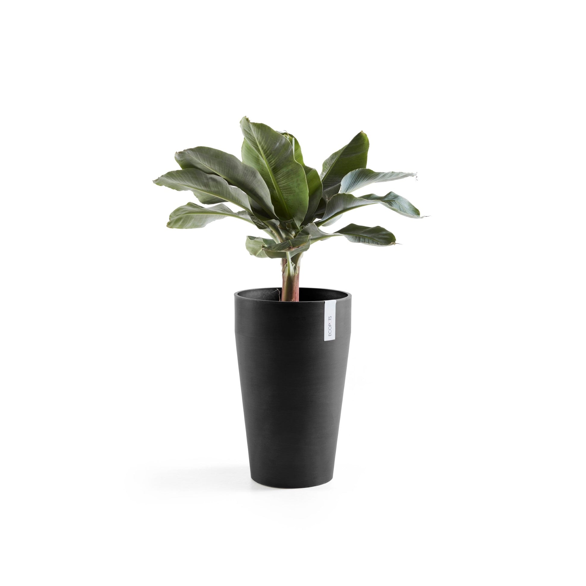 Kukkaruukku - Ecopots - Sankara keskikorkea 55cm tummanharmaa - Ecopotskauppa - Uuden aikakauden kukkaruukku