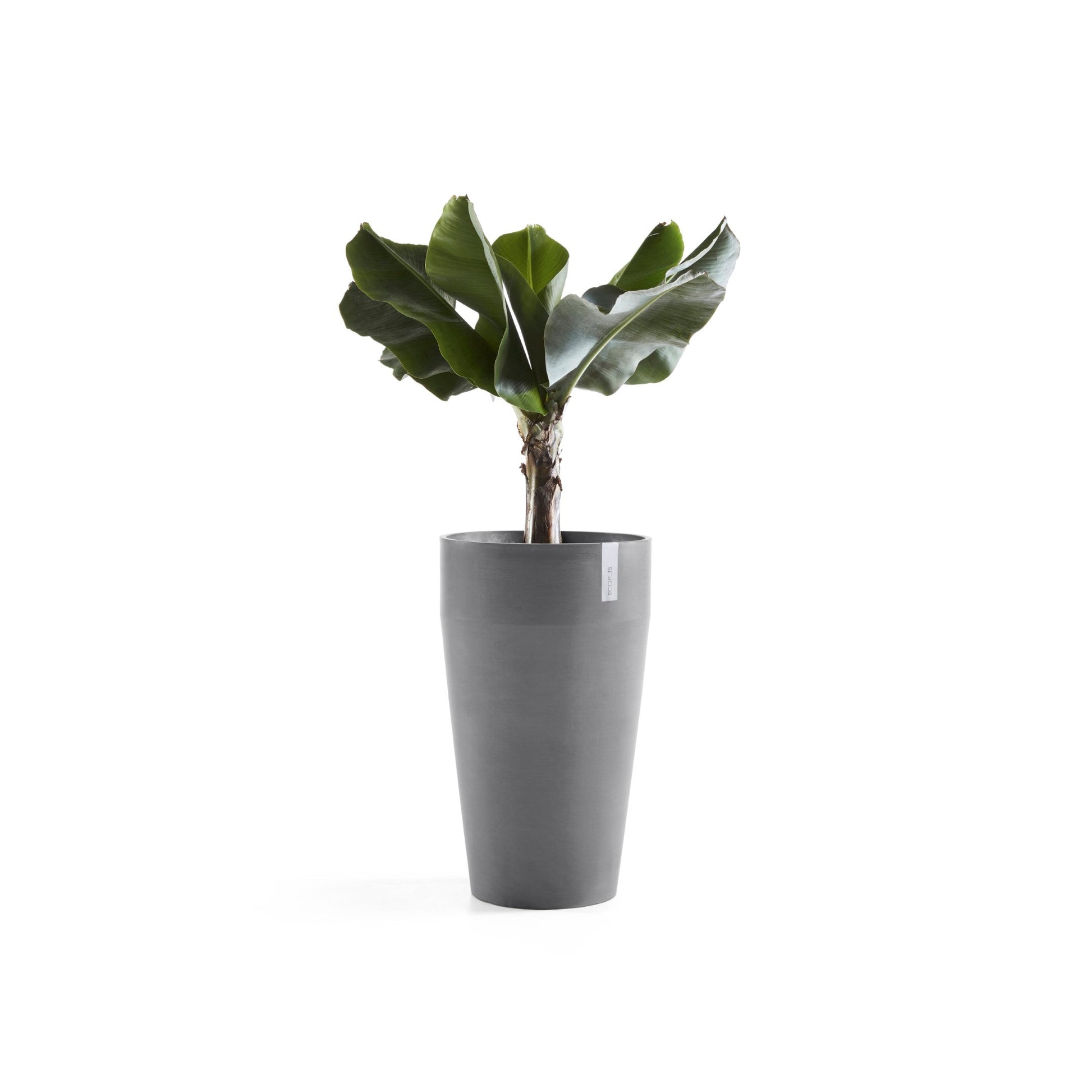 Kukkaruukku - Ecopots - Sankara korkea 75cm harmaa - Ecopotskauppa - Uuden aikakauden kukkaruukku