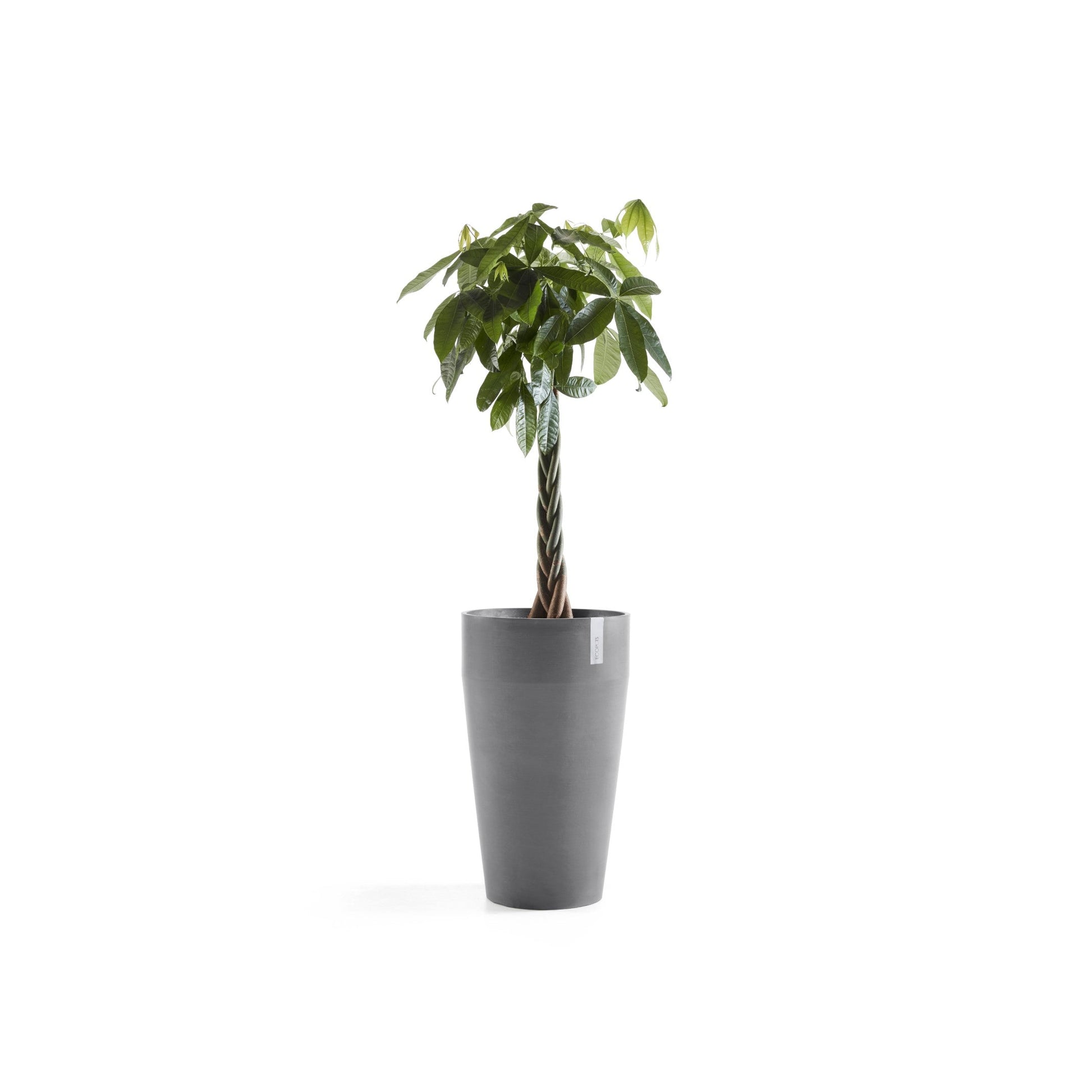 Kukkaruukku - Ecopots - Sankara korkea 75cm harmaa - Ecopotskauppa - Uuden aikakauden kukkaruukku