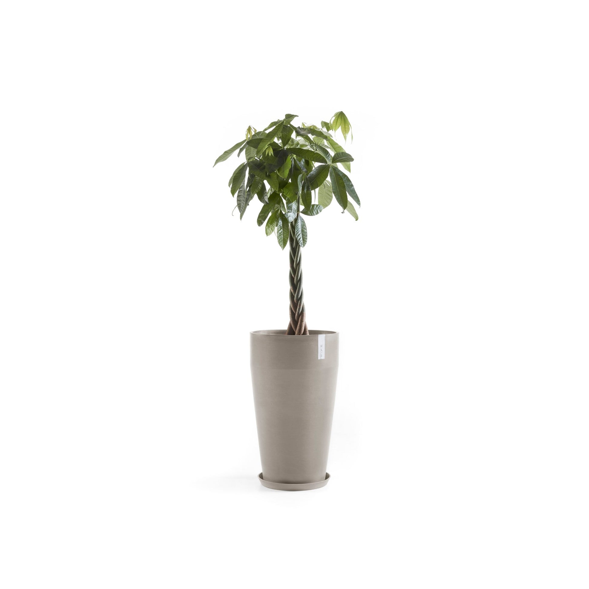 Kukkaruukku - Ecopots - Sankara korkea 75cm taupe - Ecopotskauppa - Uuden aikakauden kukkaruukku