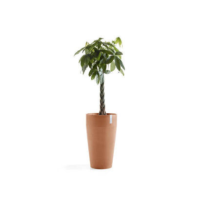 Kukkaruukku Sankara korkea 75cm terracotta – kasvin kanssa
