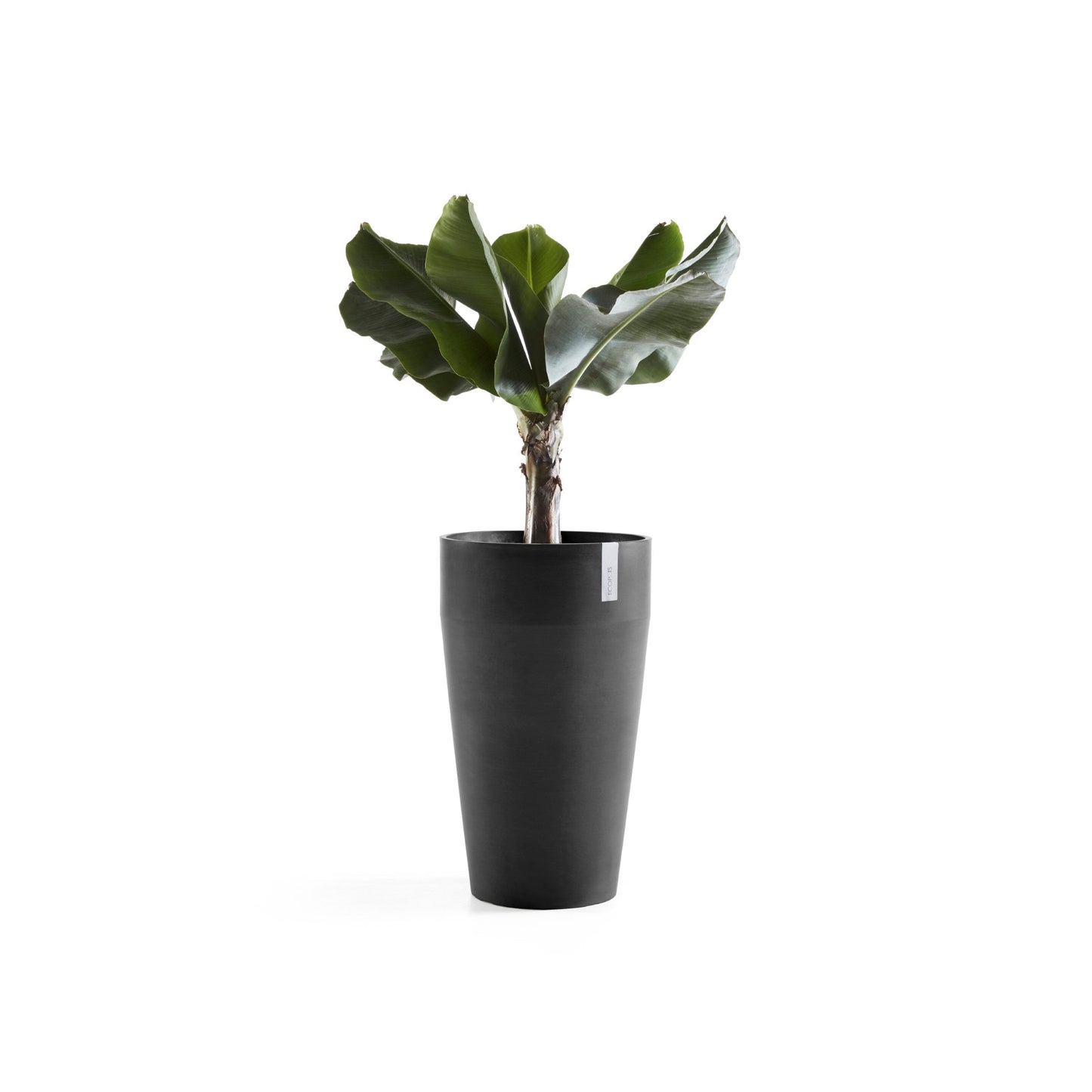 Kukkaruukku - Ecopots - Sankara korkea 75cm tummanharmaa - Ecopotskauppa - Uuden aikakauden kukkaruukku