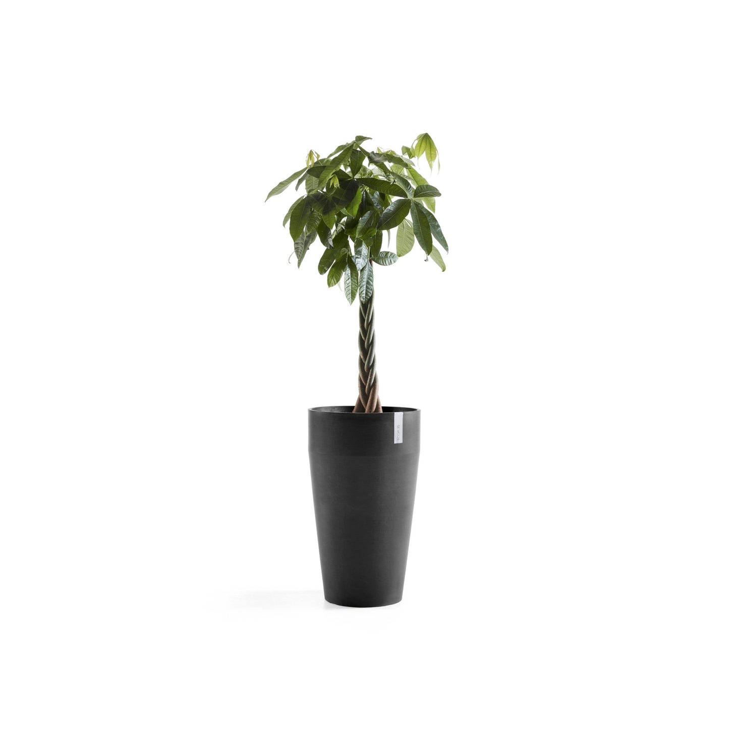 Kukkaruukku - Ecopots - Sankara korkea 75cm tummanharmaa - Ecopotskauppa - Uuden aikakauden kukkaruukku