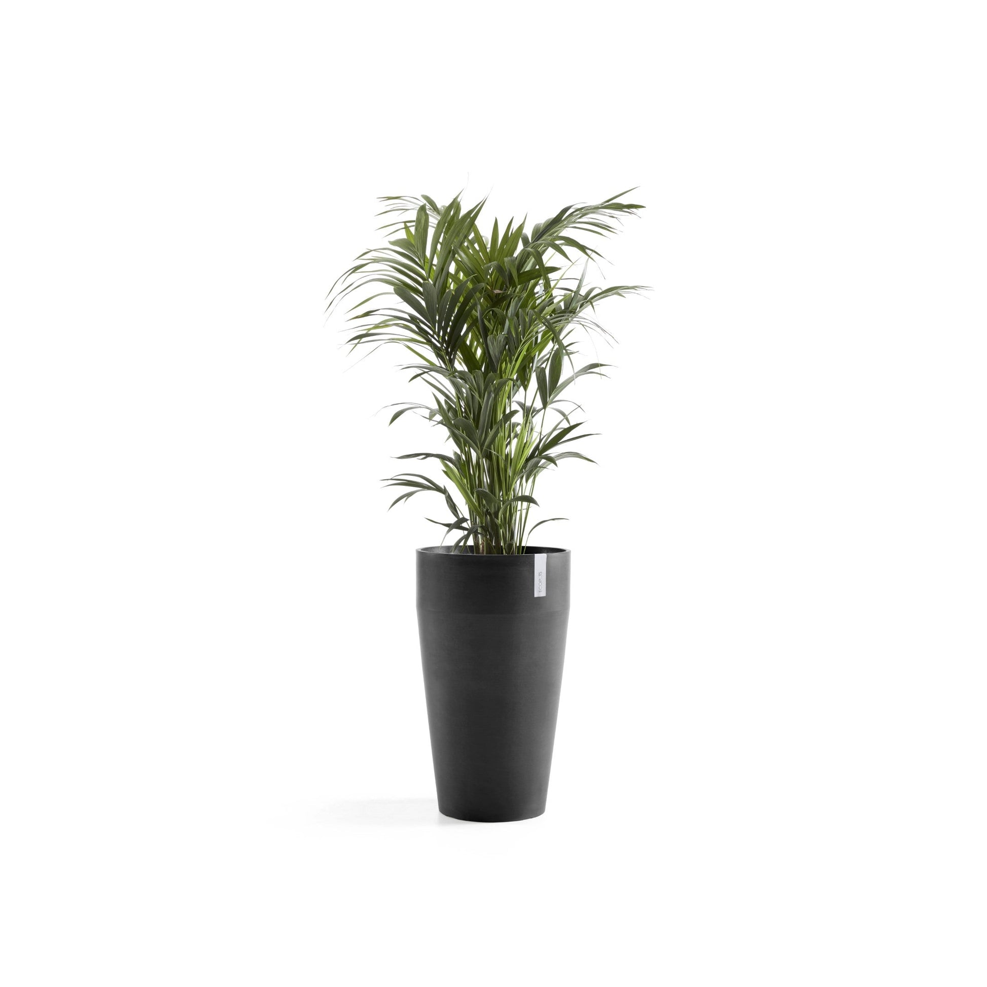 Kukkaruukku - Ecopots - Sankara korkea 75cm tummanharmaa - Ecopotskauppa - Uuden aikakauden kukkaruukku