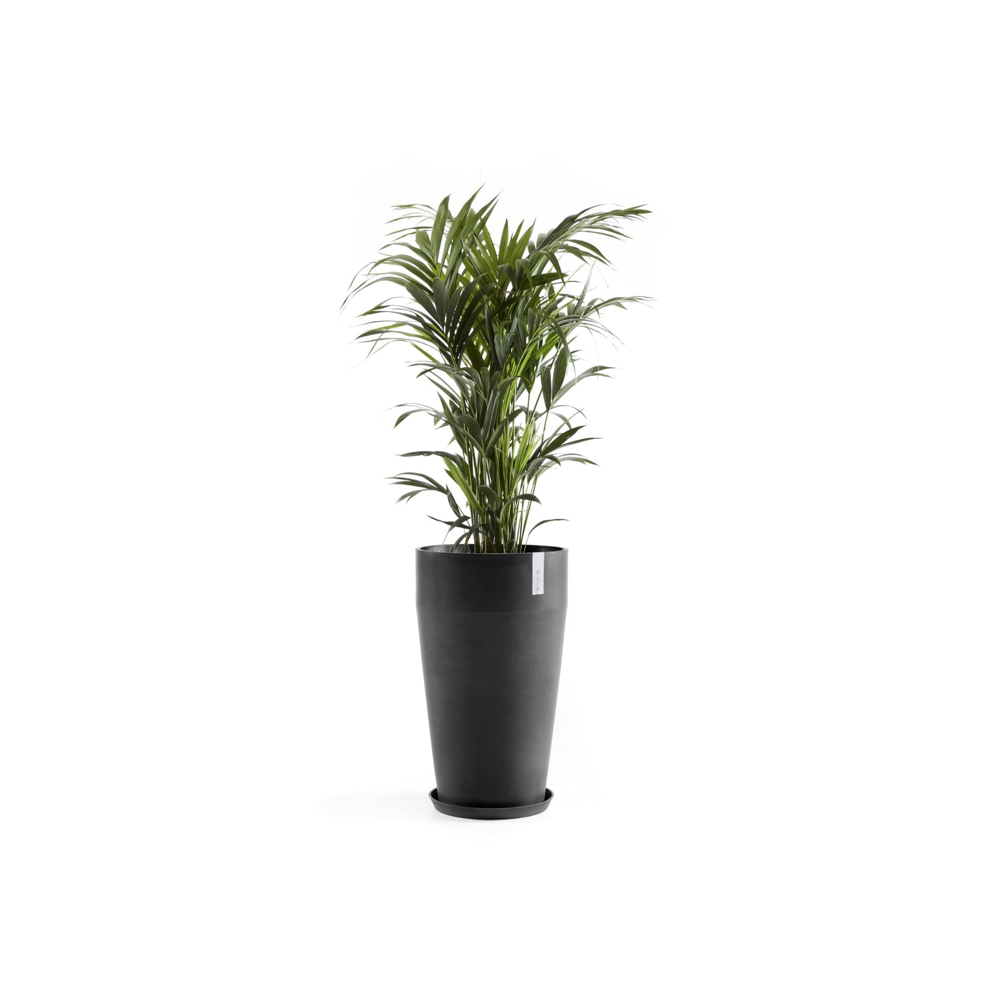 Kukkaruukku - Ecopots - Sankara korkea 75cm tummanharmaa - Ecopotskauppa - Uuden aikakauden kukkaruukku